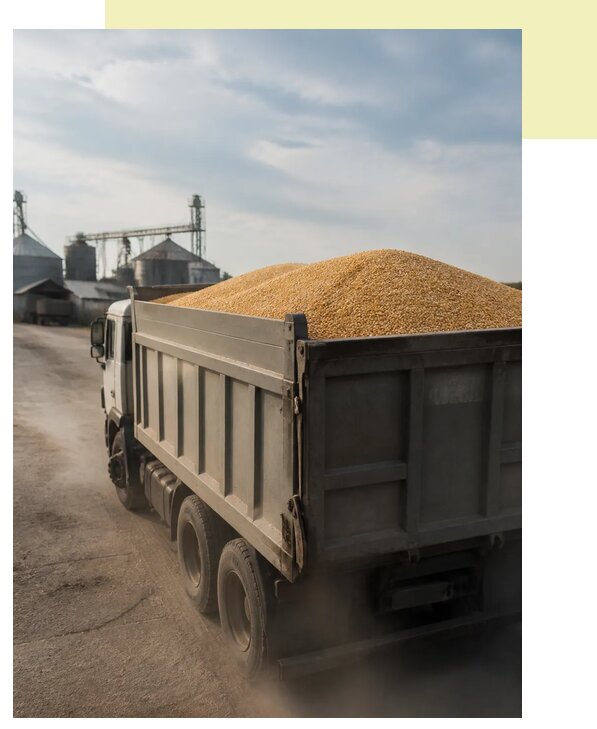 Перевозка сельхозпродукции навалом в Добрянку по цене от 3031 р. | Агросервис-Дбр